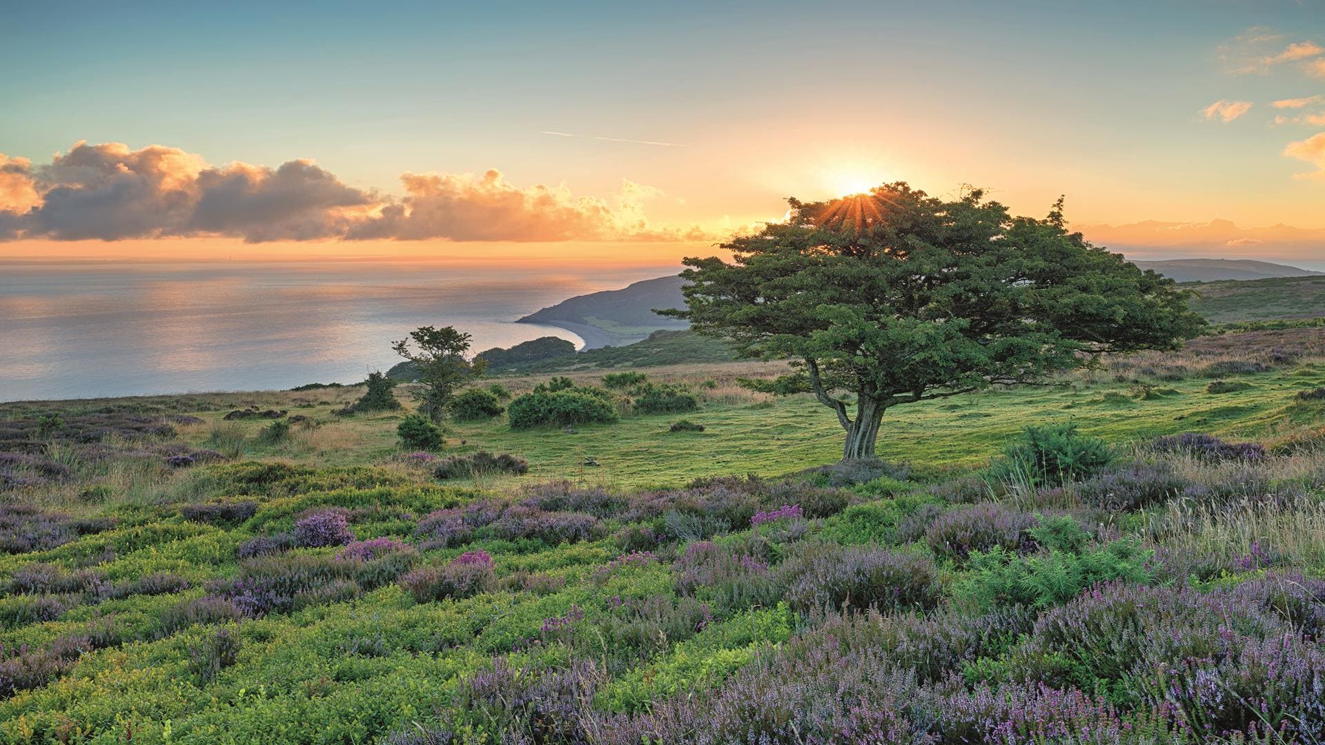 Exmoor NAtional Park